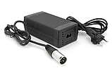 Зарядний пристрій Voltronic для LiFePo4 12V (14.6) 4S до 10A штекер 3-pin XLR, фото 2