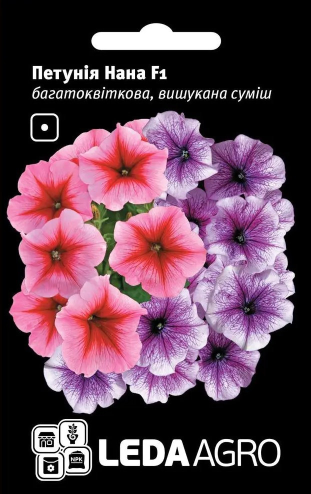 Петунія Нана F1, багатоквіткова, вишукана суміш 10 шт (Leda Agro), фото 1