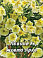 Петунія Лавина F1, жовта зірка, великоквіткова 50 шт (Leda Agro), фото 3