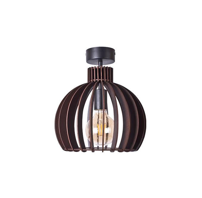 LS 2107-1B, фото 1