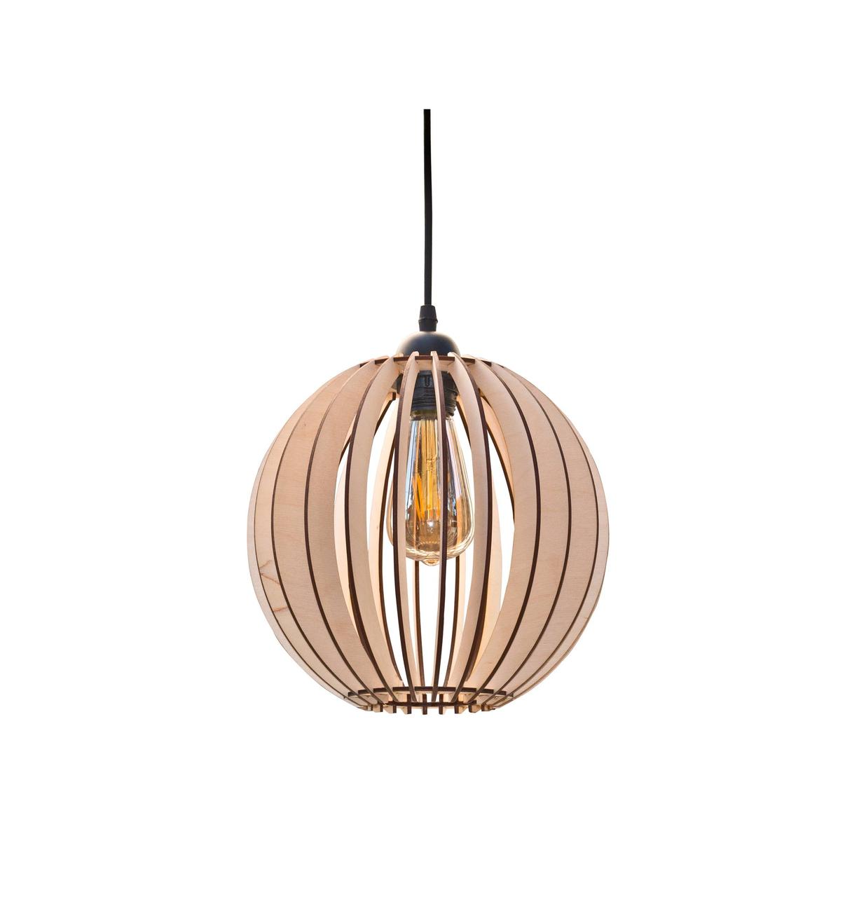 LS 1003-1B NA, фото 1