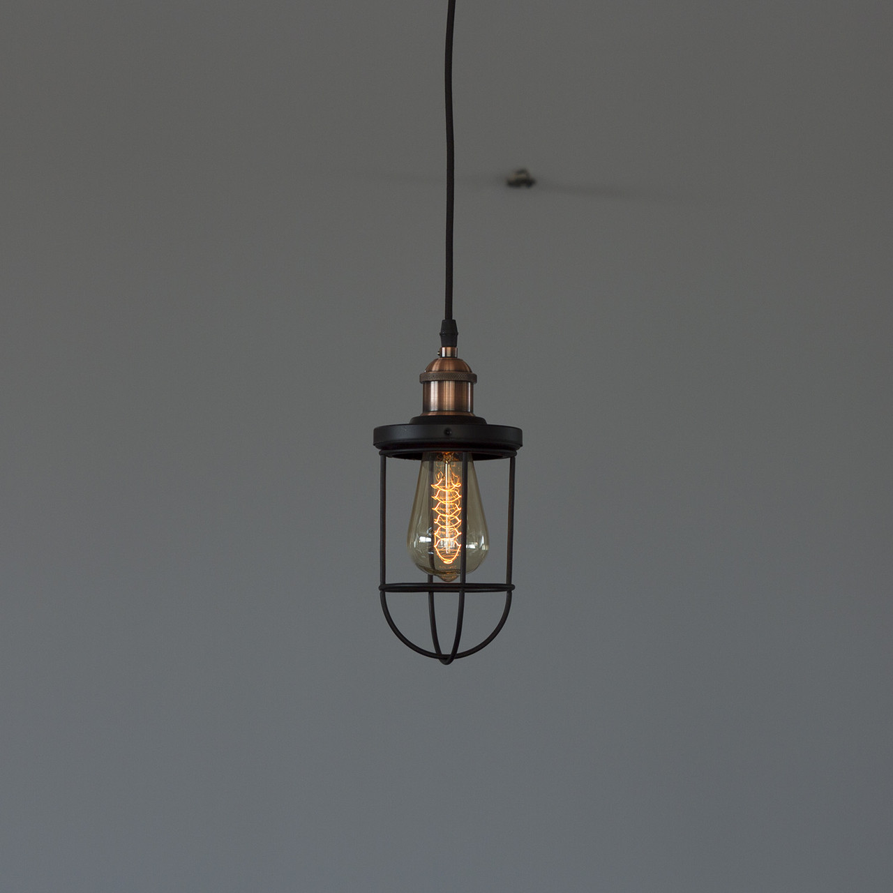 Підвісний світильник LS 0607-1G, фото 1