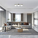 Стельовий світильник SV0026-5P BK+GD, фото 3