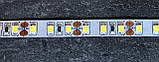LED стрічка LED LV-2835-120 IP20 6000K, фото 2
