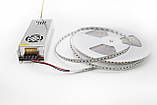 LED стрічка LED WYJ-2835-120 6000K, фото 6