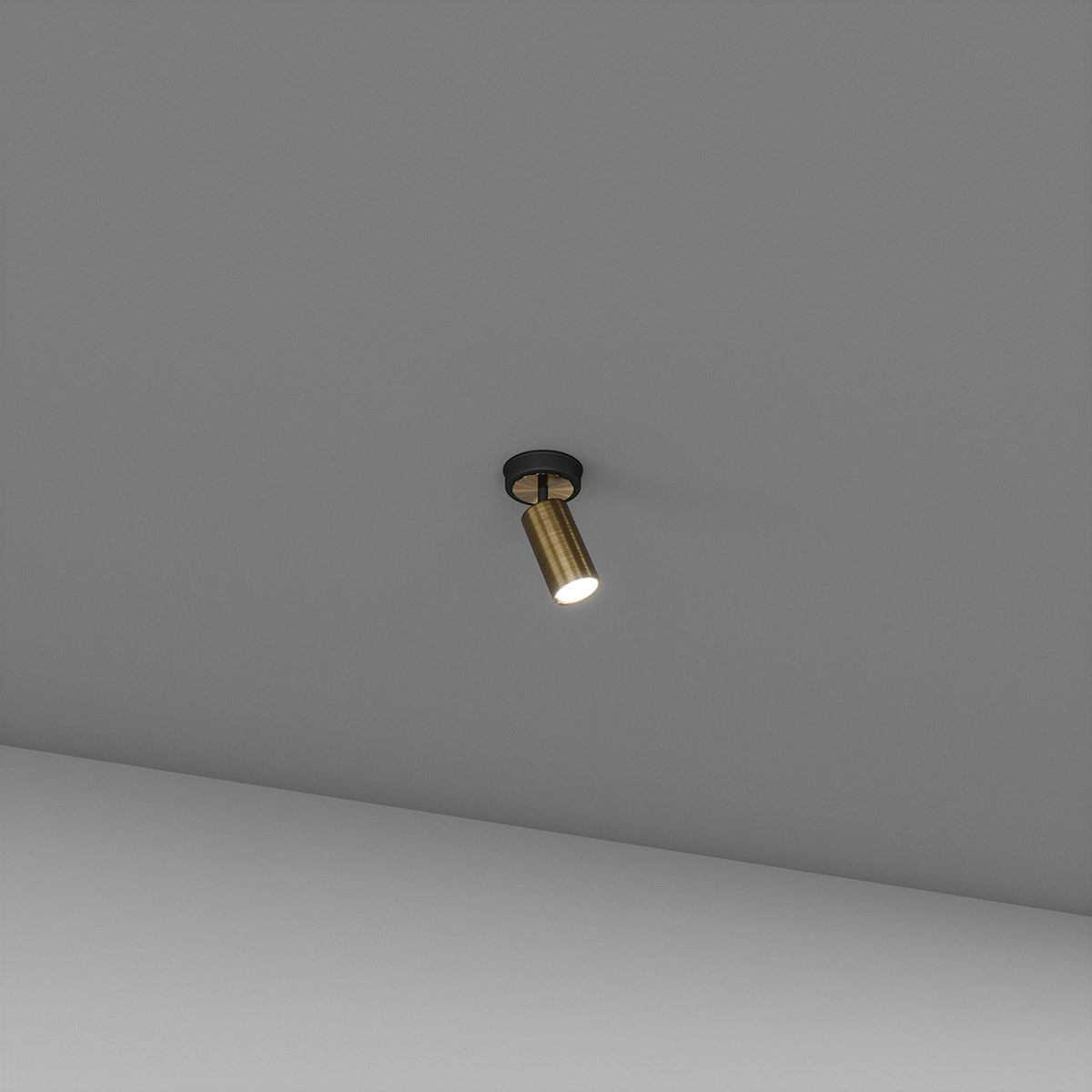 Спот SV0065-1 BK+GD, фото 1