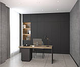 PS0786 WH, фото 4