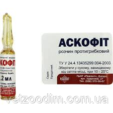 Аскофіт 1,2 мл, фото 1