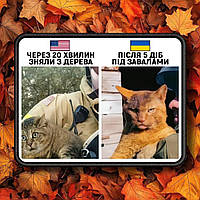 №АВШ004 Шеврон "УКРАЇНСЬКИЙ КІТ" 9Х7СМ