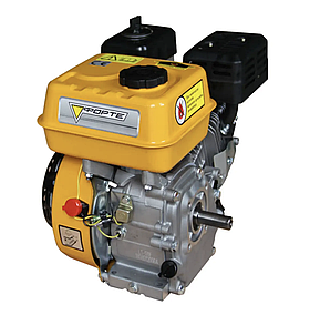 Бензиновий двигун Forte F210GS-20