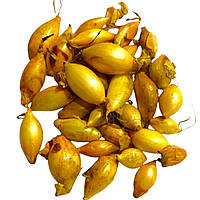 Озима цибуля саджанка Радар, 1 кг Голландія