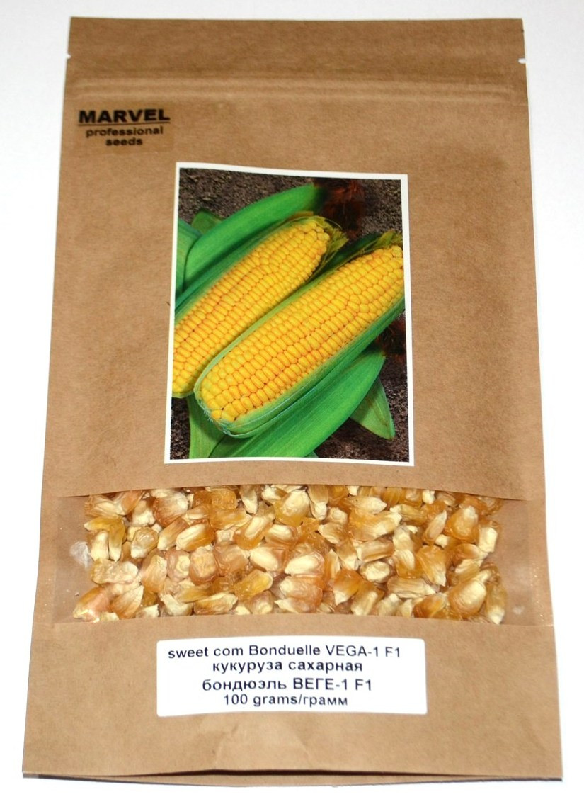 Семена кукурузы сахарная бондюэль Веге-1 F1 (Украина), 500 семян - фото 1 - id-p481815848