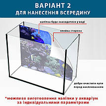 Наклейка в акваріум 3D морське дно, в різних розмірах 40х65 см (650х400), фото 5