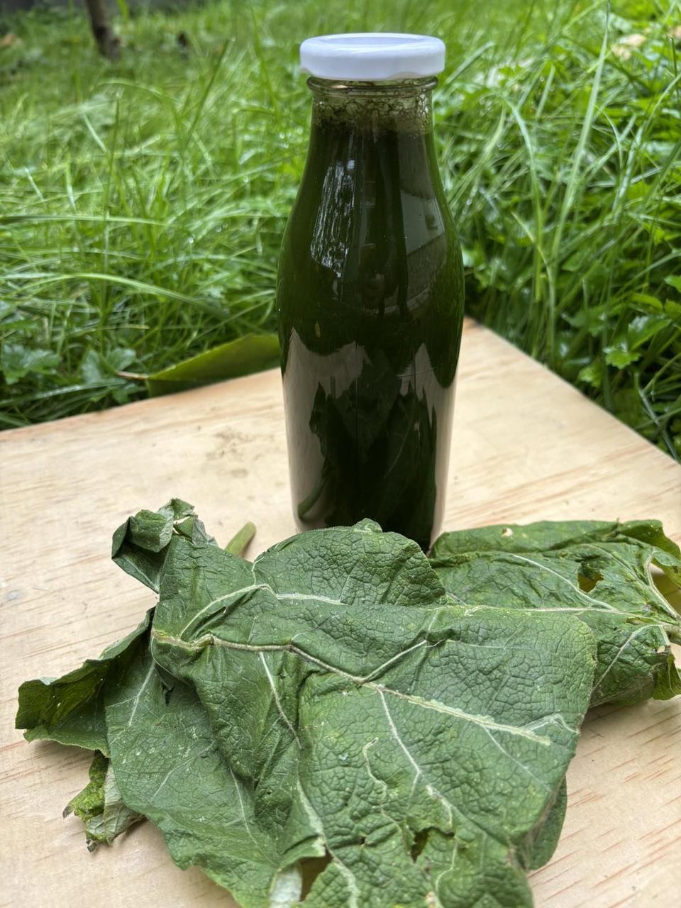 Лопух великий (сік листа сирий 100%) , 0.5 літри, фото 1