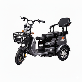 Скутер триколісний електричний Forte FAMILY-WN600 600 Вт 100 км запас ходу електроскутер для родини