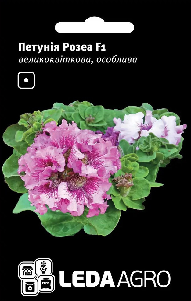 Петунія Розеа F1, великоквіткова, особлива 50 шт (Leda Agro), фото 1