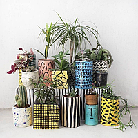 Правила підбору горщиків для кімнатних і садових рослин