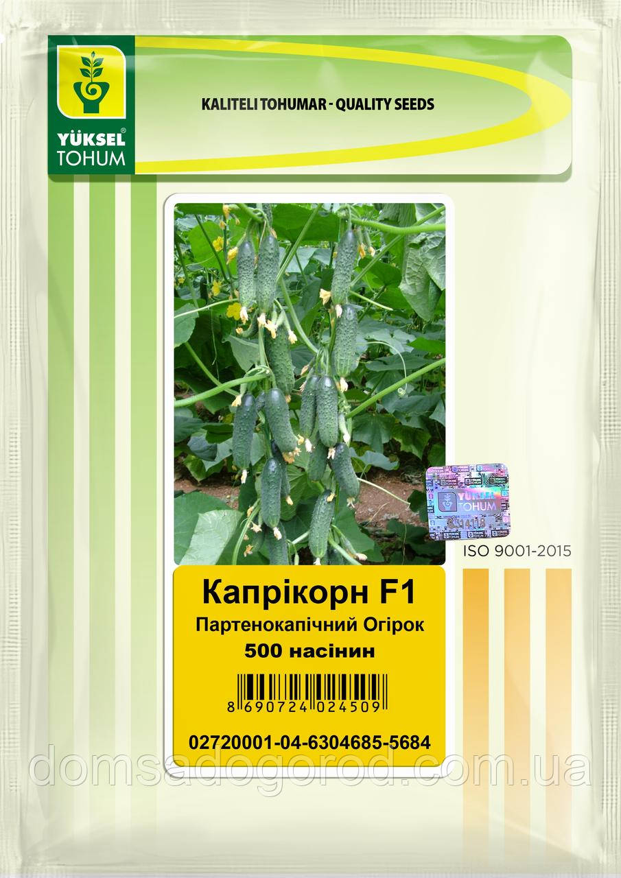 Огірок КАПРИКОРН F1 Yuksel 500 шт.