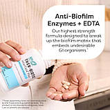 Klaire Labs SFI Health Interfase Plus для руйнування біоплівок (Biofilm) + ЕДТА(EDTA) та детоксикації, 60 капсул, фото 2