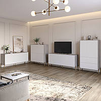 Комплект меблів для вітальні Lion Амарант 4 елементи Шварцвальд/Білий (LION-042350), 8929743 - 253