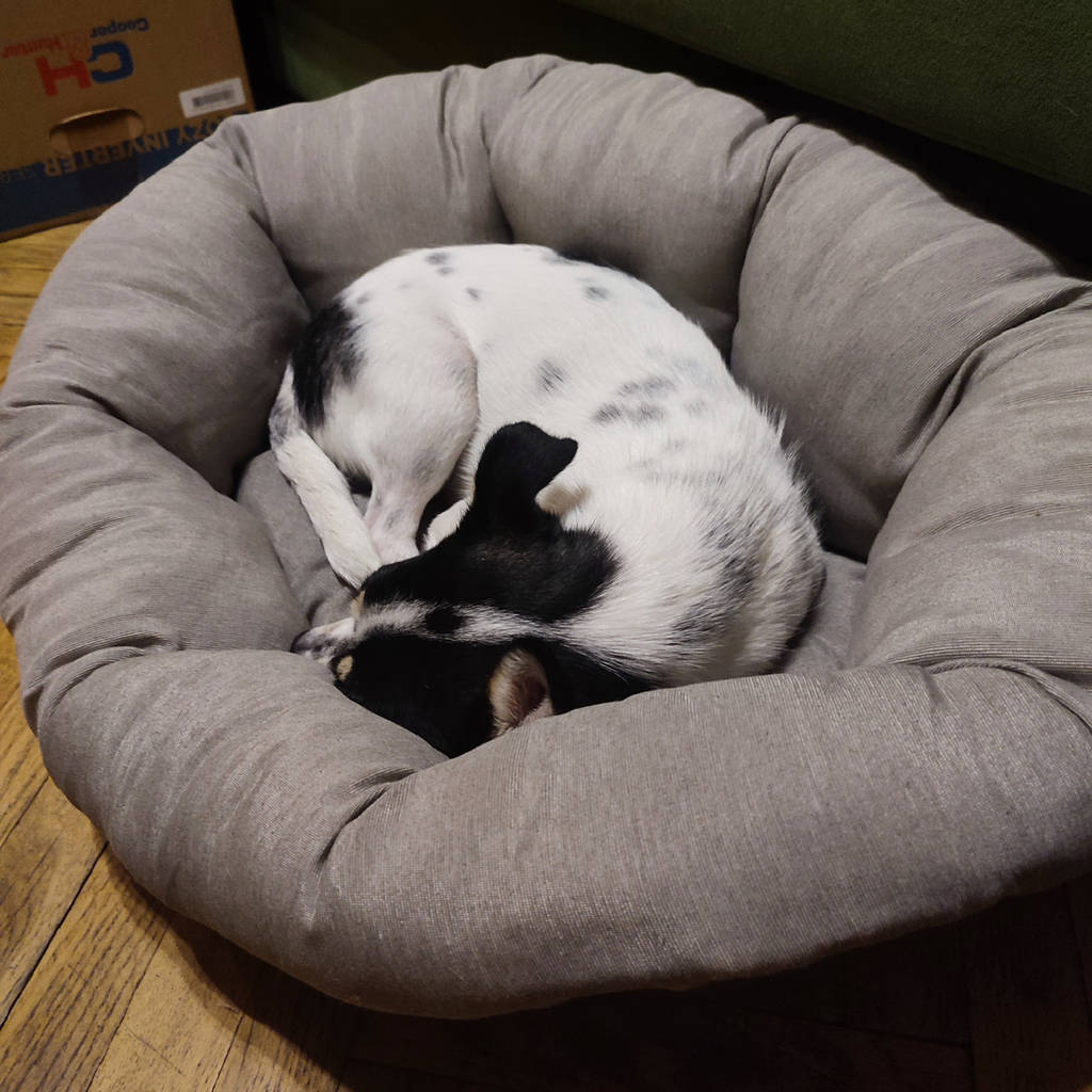 Подушка для пластикового лежака для собак і кішок SOFA' CUSHION - фото покупців 1