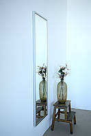 Настінне дзеркало на повний зріст в рамі 165*50 сріблясте