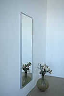 Настінне дзеркало на повний зріст в рамі 165*60 сріблясте