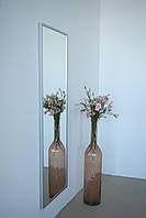 Настінне дзеркало на повний зріст в рамі 170*60 сріблясте