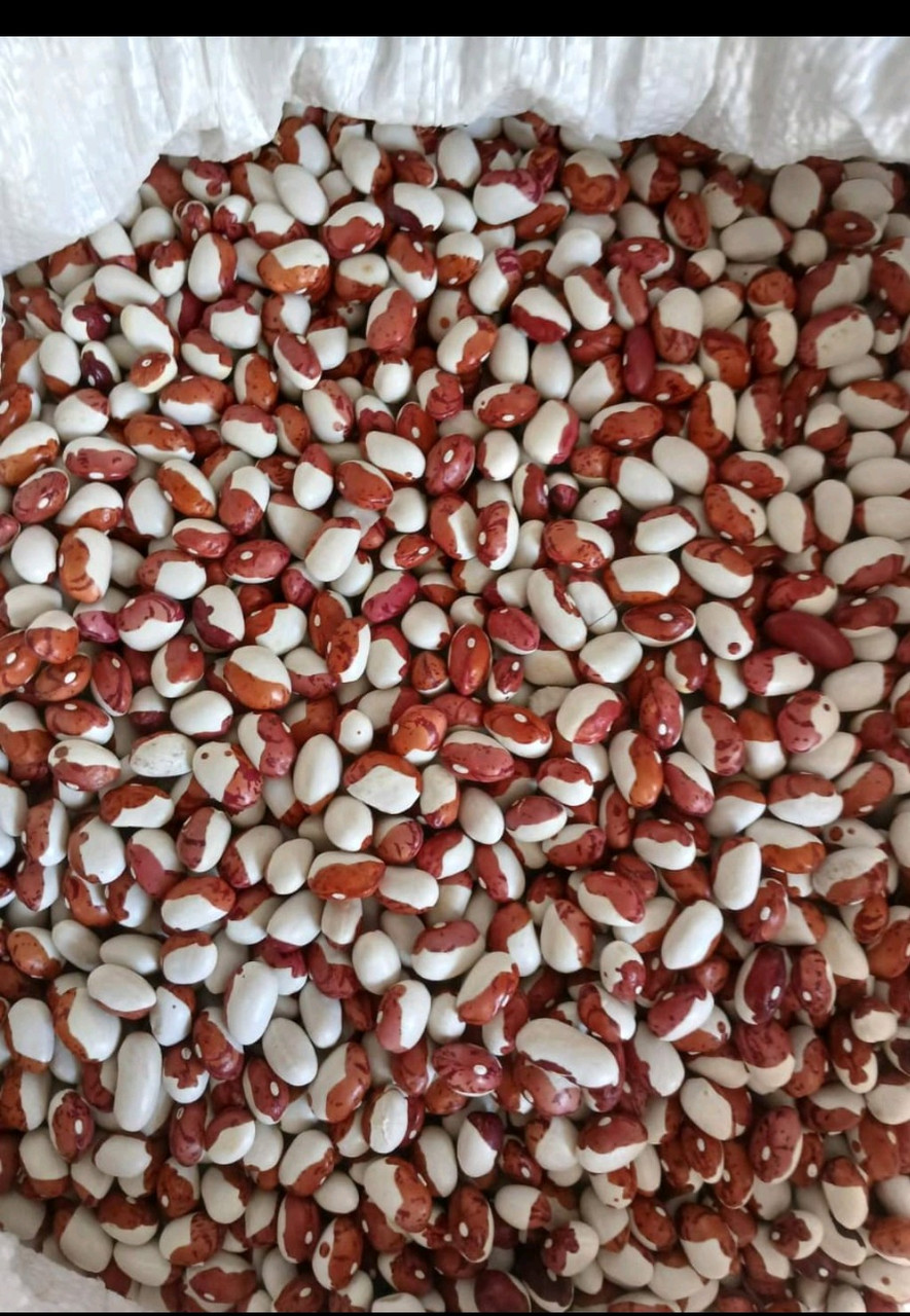 Квасоля червона шапочка 1 кг