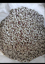 Квасоля Солдатік 1 кг