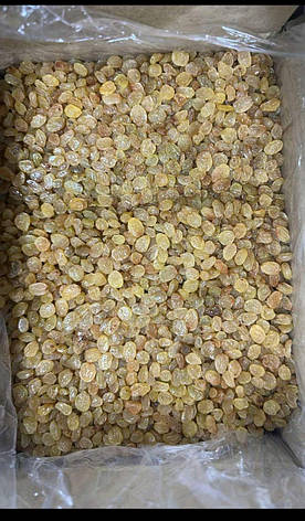 Родзинки золоті коробка 5 кг, фото 1