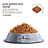 Корм Клуб 4 Лапи для котів без доступу на вулицю з ягням Indoor 4 in 1 14кг, фото 2
