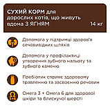 Корм Клуб 4 Лапи для котів без доступу на вулицю з ягням Indoor 4 in 1 14кг, фото 3
