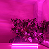 Фітосвітильник 60см LED Light 9W 60см 220В Т5 IP44 світлодіодний з вимикачем та шнуром (фітолампа для рослин), фото 9