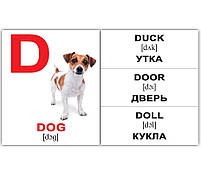 Подарунковий набір Картки Домана Англо-російський валіза Вундеркінд з пелюшок 1746 карток 34 теми, фото 5