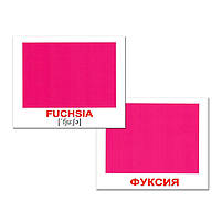 Подарунковий набір Картки Домана Англо-російський валіза Вундеркінд з пелюшок 1746 карток 34 теми, фото 8