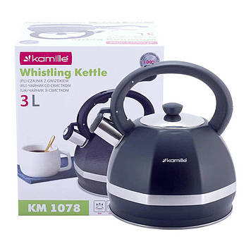 Чайник 3 л Kamille з неіржавкої сталі зі свистком і нейлоновою ручкою КМ-1078
