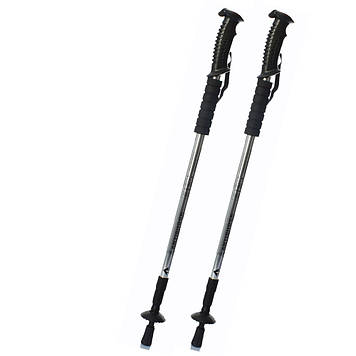 Трекінгові палиці для скандинавської ходьби 2 шт Feel Fit MS 2019-1-GR Сірий
