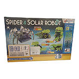 Робот-конструктор на сонячних батареях 1021, динозавр - конструктор 4 в 1 STEM Solar Spider and Robot, фото 3
