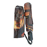 Парасолька автомат Fiaba F25-028 Котики жіноча на 8 спиць з котами Темно-коричнева, фото 5