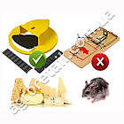 Мишоловка-насадка на відро з відкидною кришкою, фото 7