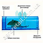 Гуманна мишоловка пластикова, фото 3