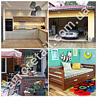 Гуманна мишоловка пластикова, фото 10