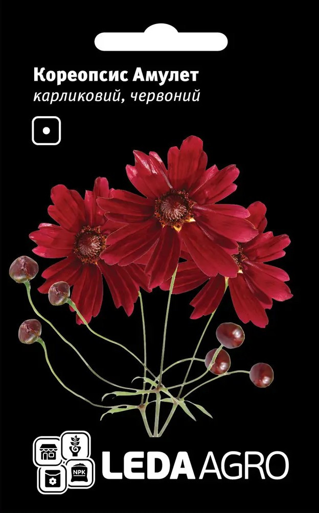 Кореопсис Червоний Амулет, карликовий 0,2 г (Leda Agro), фото 1