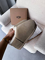 Бежеві Замшеві жіночі Уггі UGG Pumped Slide на хутрі