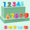 Логічна дошка дерев'яна іграшка з набором розвивальних ігор для дітей Магнітна риболовля сортер кілочки цифри, фото 8