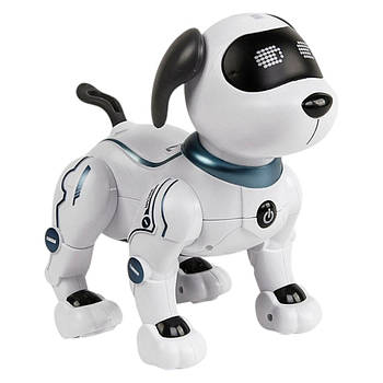 Роботи на радіокеруванні