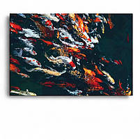 Картина Японські рибки коропи кої на темному тлі Декор в сучасний інтер'єр Друк на полотні 60х40см, фото 2