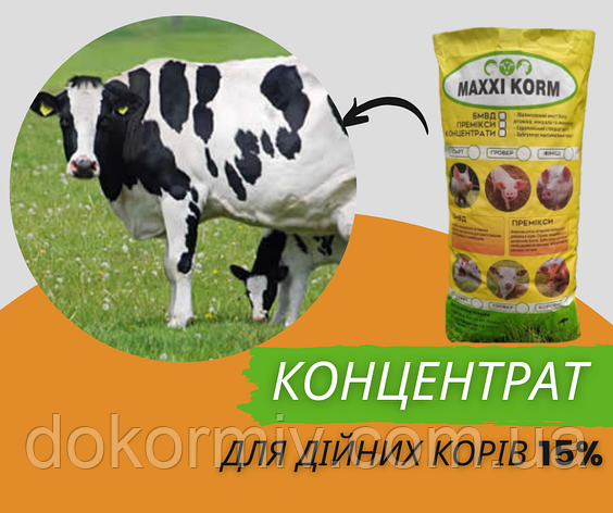 Концентрат 15% для дійних корів 25 кг, фото 1