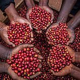 Кава розчинна сублімована ПОЛЬША 1кг, фото 9